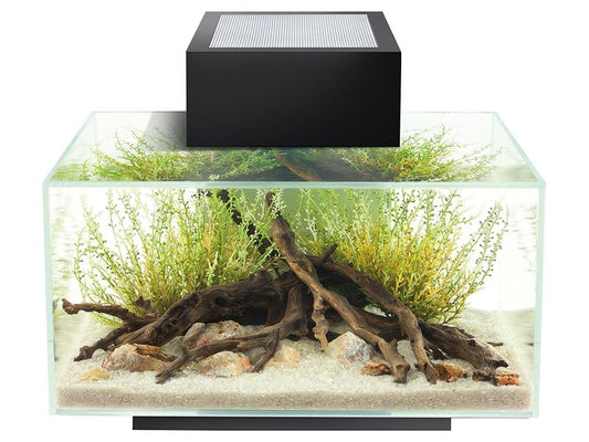 Fluval Edge 2.0 23L Aquarium Gloss Black
