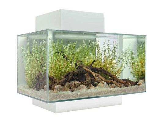 Fluval Edge 2.0 23L Aquarium Gloss White