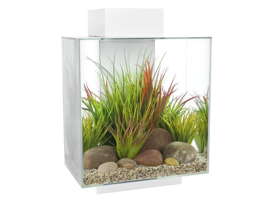 Fluval Edge 2.0 46L Aquarium Gloss White