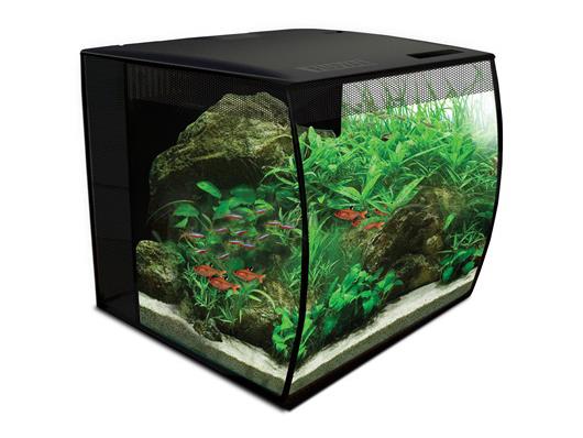 Fluval Flex 34L Aquarium Kit