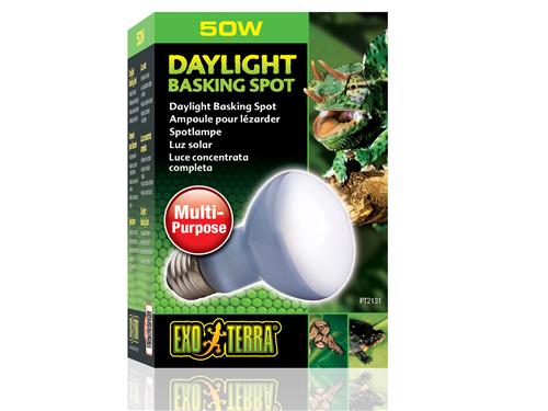 Exo Terra Daylight Basking Spot 50w