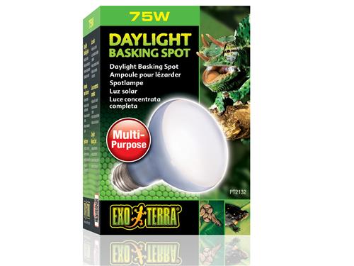 Exo Terra Daylight Basking Spot 75w