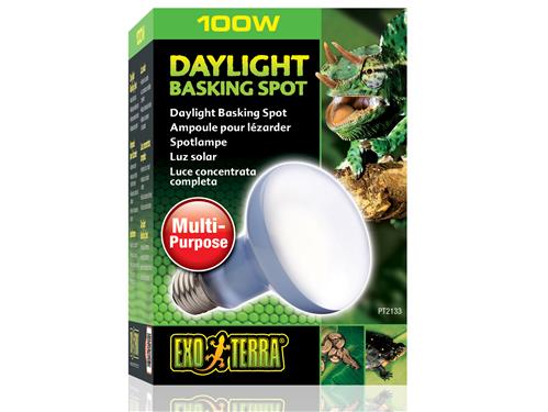 Exo Terra Daylight Basking Spot 100w