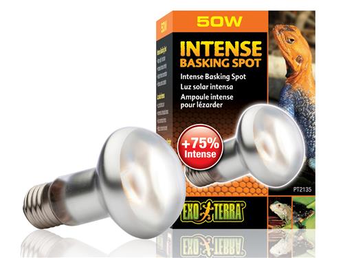 Exo Terra Intense Basking Spot 50w