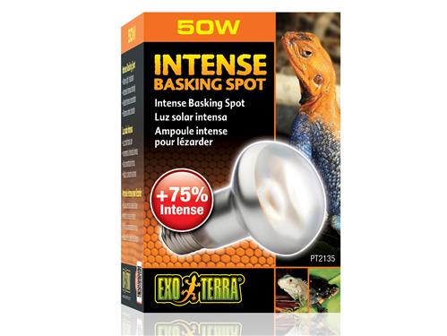 Exo Terra Intense Basking Spot 50w