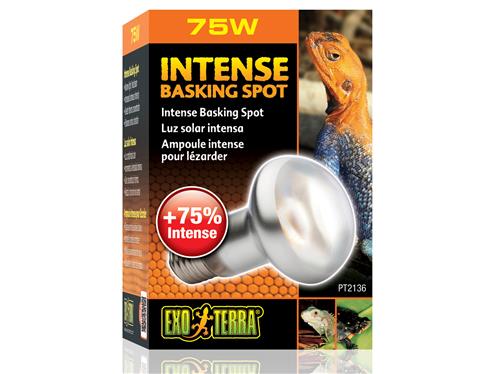 Exo Terra Intense Basking Spot 75w