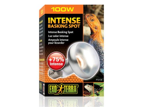 Exo Terra Intense Basking Spot 100w