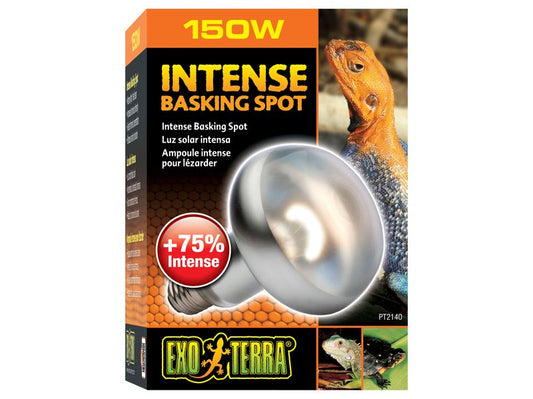 Exo Terra Intense Basking Spot 150w