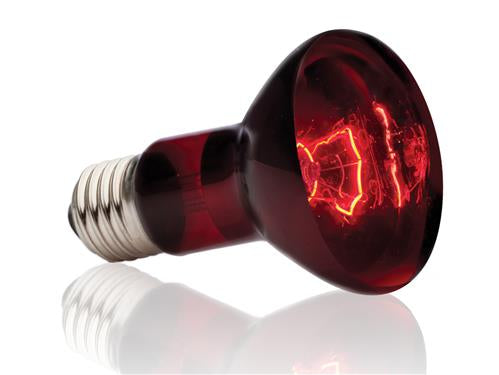 Exo Terra Infrared Basking Spot 150w