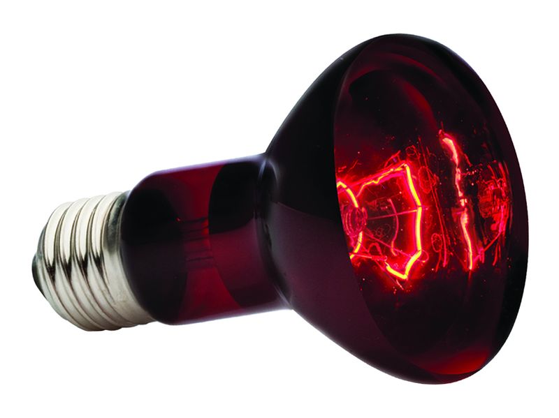 Exo Terra Infrared Basking Spot 75w