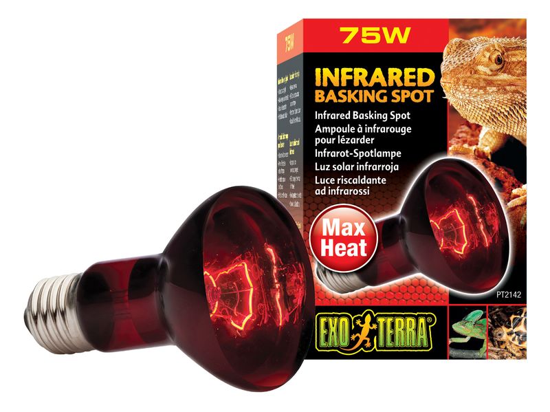 Exo Terra Infrared Basking Spot 75w