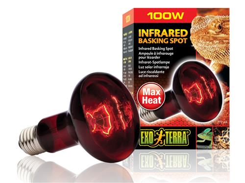Exo Terra Infrared Basking Spot Bulb 100w