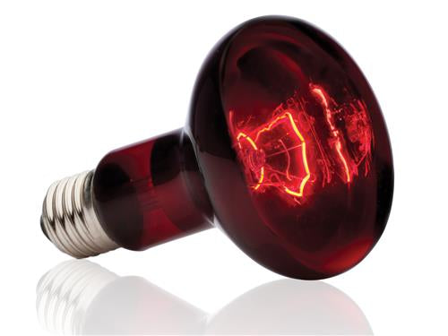 Exo Terra Infrared Basking Spot Bulb 100w