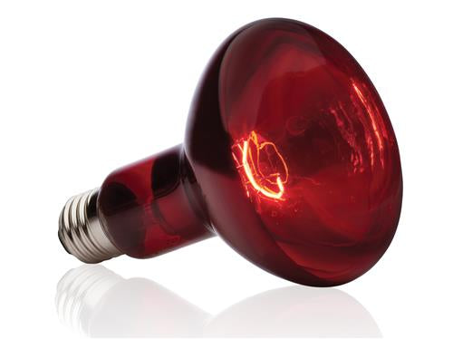 Exo Terra Infrared Basking Spot Bulb 150w