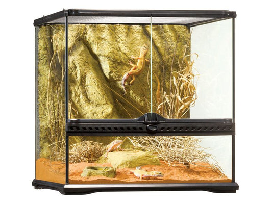 Exo Terra all glass Vivarium 45x45x45cm