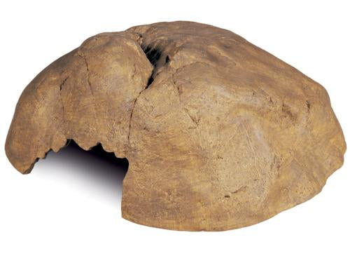 EXO TERRA REPTILE CAVE XL