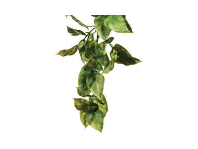 Exo Terra Ampallo Plant Medium