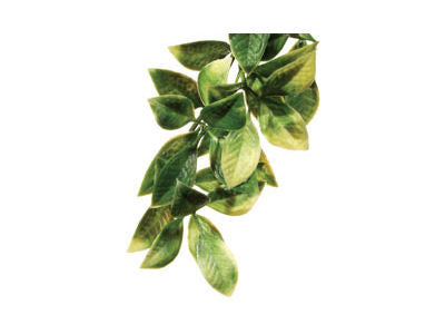 Exo Terra Mandarin Plant Medium