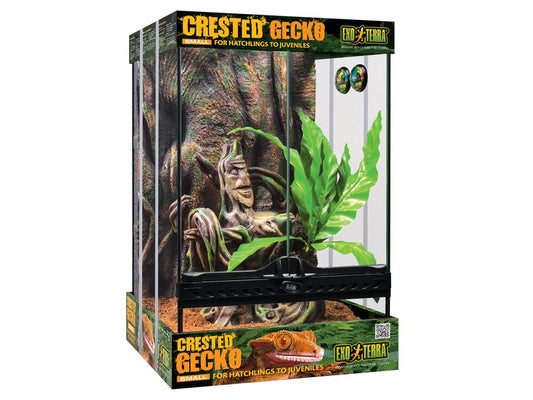 EXO TERRA CRESTED GECKO KIT 30X30X45CM