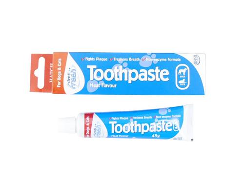 DENTIFRESH TOOTHPASTE HANGING PACK 45G