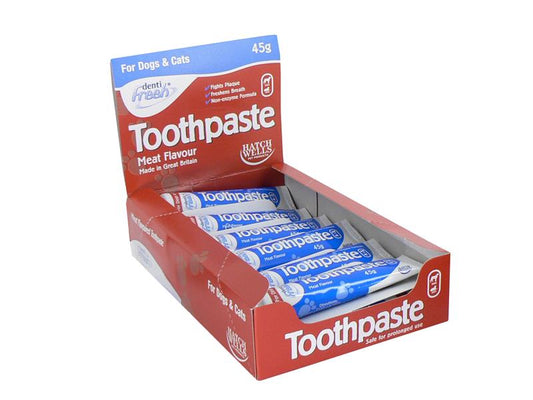 DENTIFRESH TOOTHPASTE 45G DISPLAY
