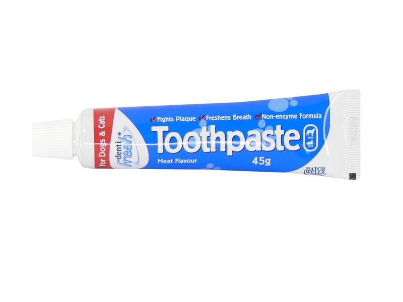 DENTIFRESH TOOTHPASTE 45G DISPLAY