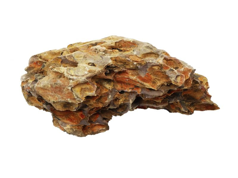 Hugo Brown Holey Rock 12pk