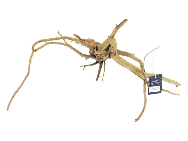 HUGO DESERT FINGERWOOD 30-40CM