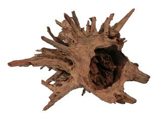 Corbo Catfish Root Large 40-56cm