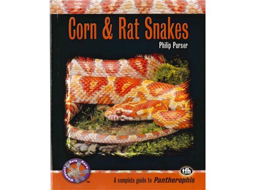 CORN & RAT SNAKES CH BOOK