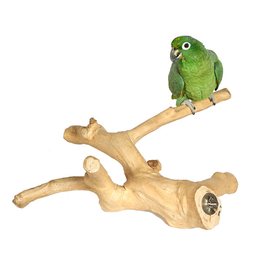 Java Perch Stand Java Perches – Seth's Little Zoo