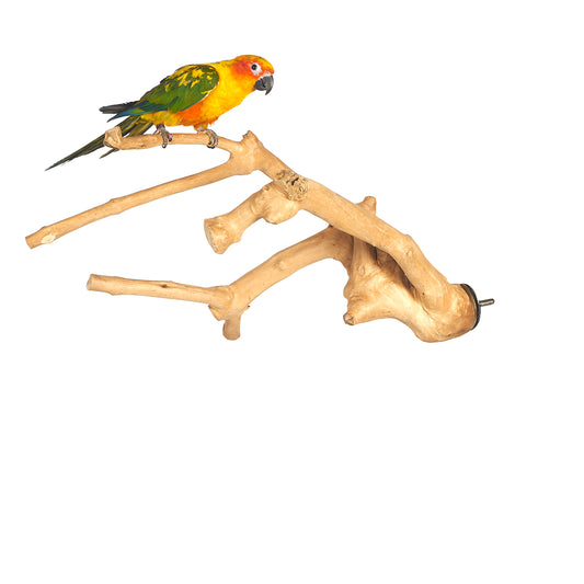 Java Multibranch Perch Small