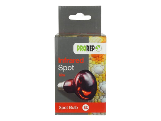 ProRep Red Night Spot Lamp 60w BC