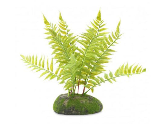 ProRep Art Tropical Fern Plant 25cm