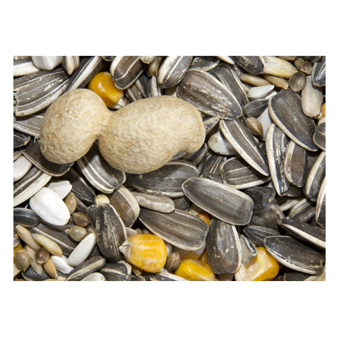 Bamfords Top Flight Parrot Mix 12.75kg