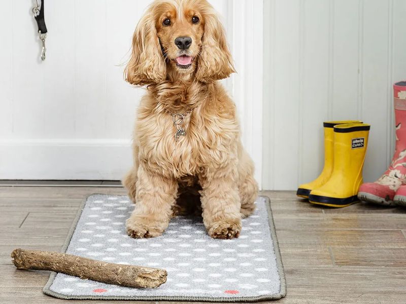 STOP MUDDY PAWS DOTTY BARRIER RUG 45X100