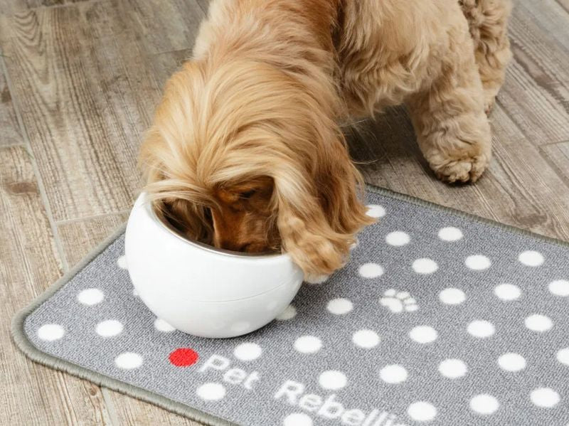 DINNER MATE DOTTY ABSORB FOOD MAT 40X60