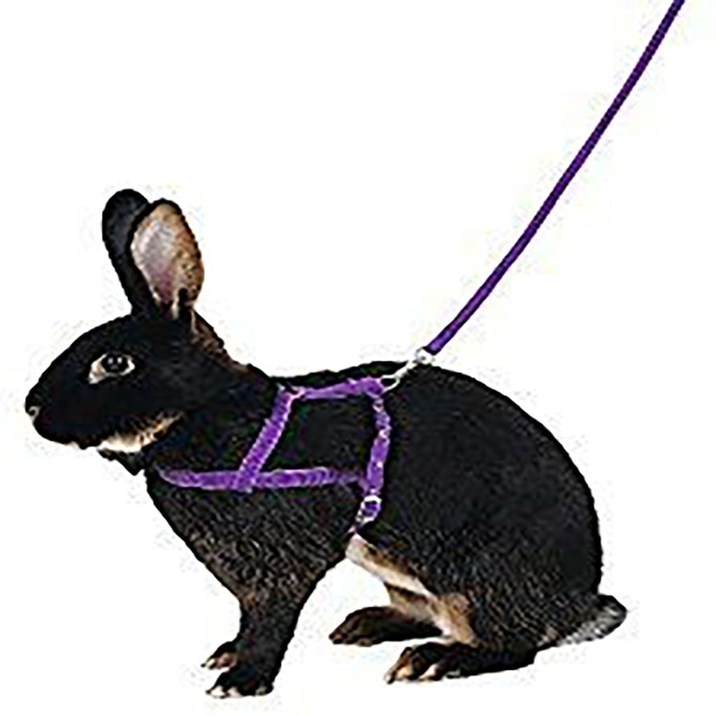 Rabbit Harness