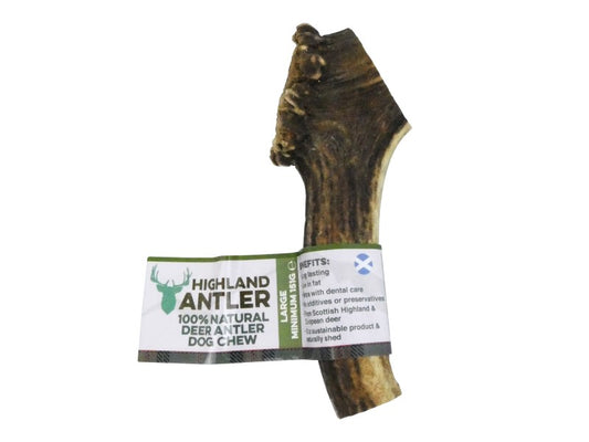ANTLER NATURAL STAGBAR LARGE