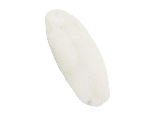 CUTTLEFISH BONE 6"-12"  2.27KG
