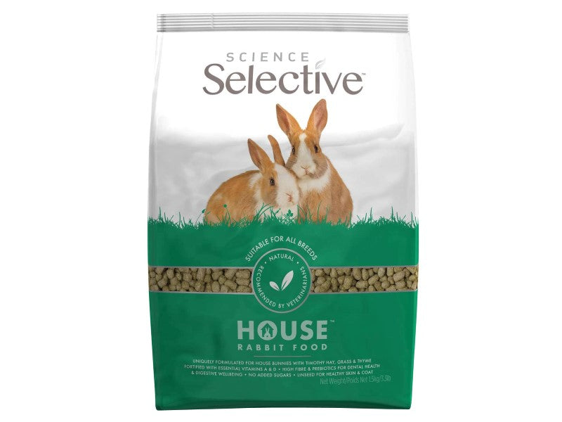 Seth The Rabbit Supreme Selective House Rabbit 1.5kg – Seth's Little Zoo
