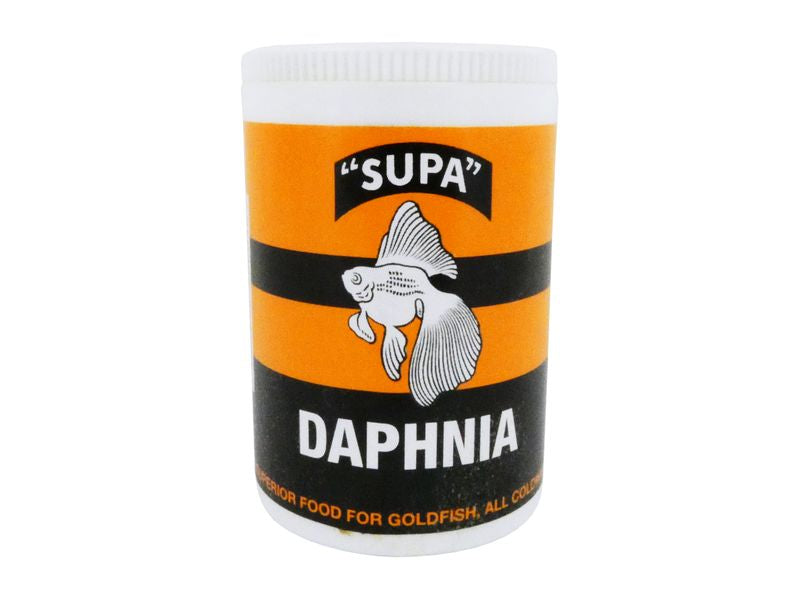 Supa Daphina Large
