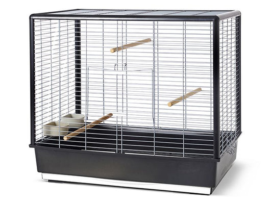 Noah Knock Down Bird Cage
