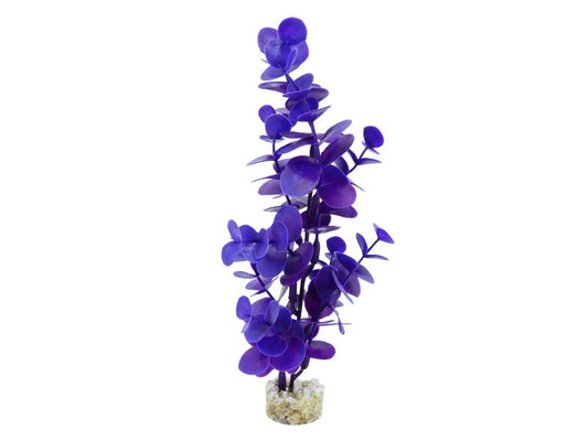 Sydeco Water Eucalyptus 22cm