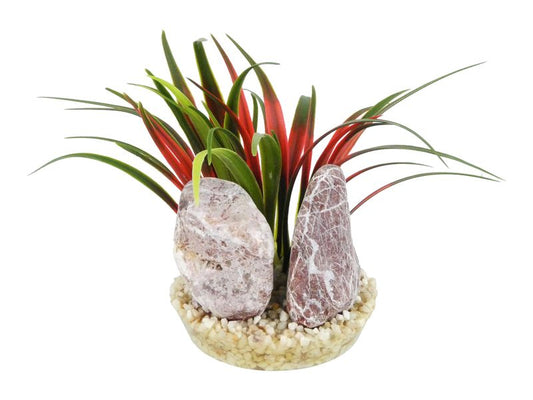 Sydeco Zebra Stone Bamboo 15cm