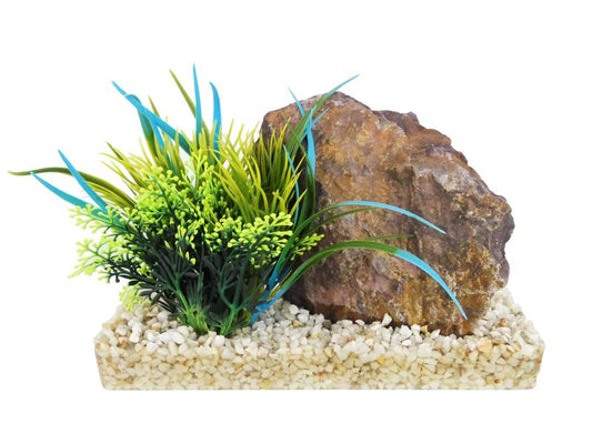 Sydeco Grand Canyon Plant 20cm