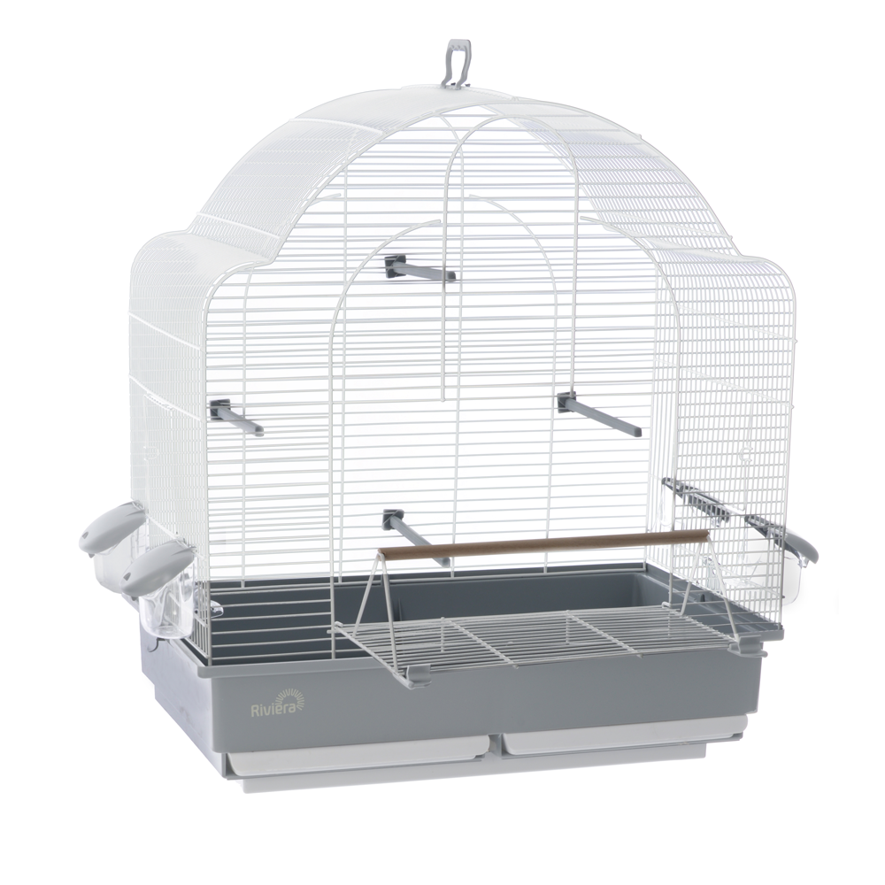 Saint Maxime Cage