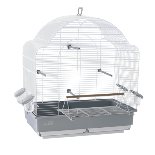 Saint Maxime Cage