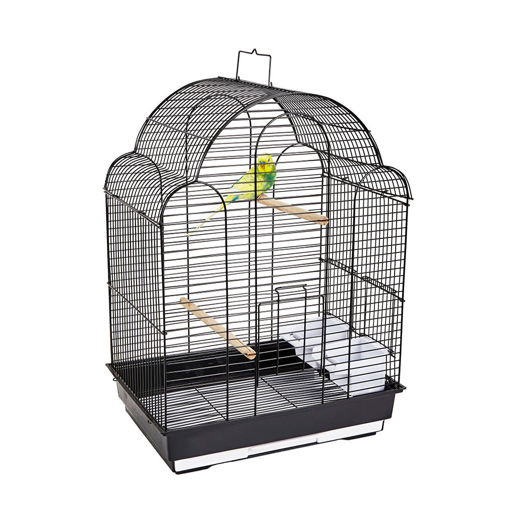 RC San Felipe Cage Black