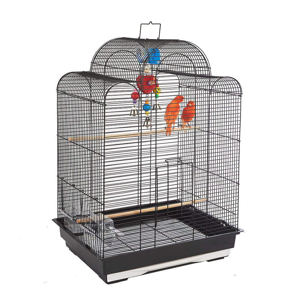 RC San Luis Cage Black